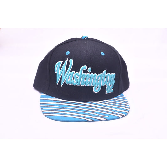 Washington DC Snapback Hat Black Blue Striped Flat Bill Cap City Hunter