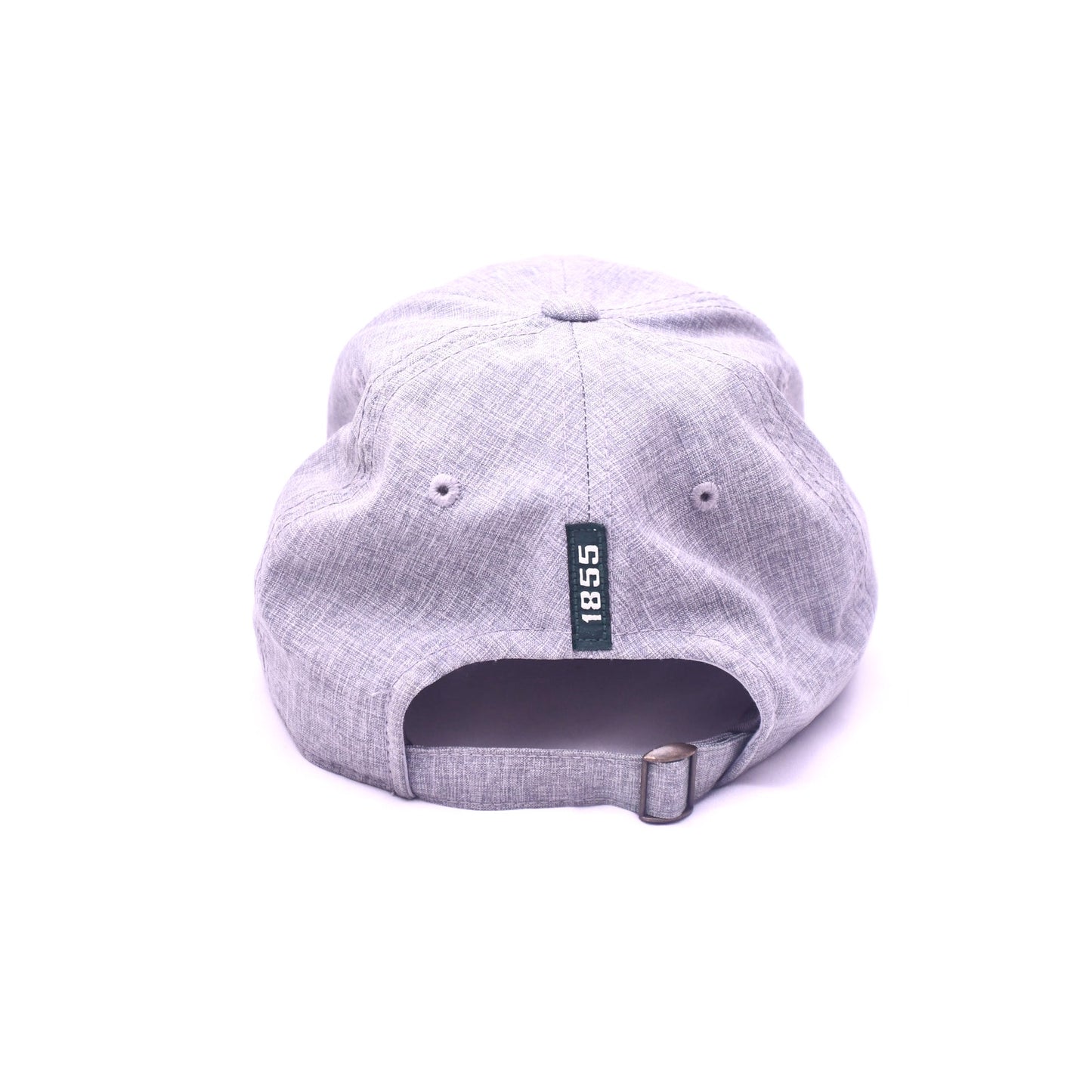 Michigan State Spartans Gray Adjustable Dad Hat Cap Embroidered NCAA College