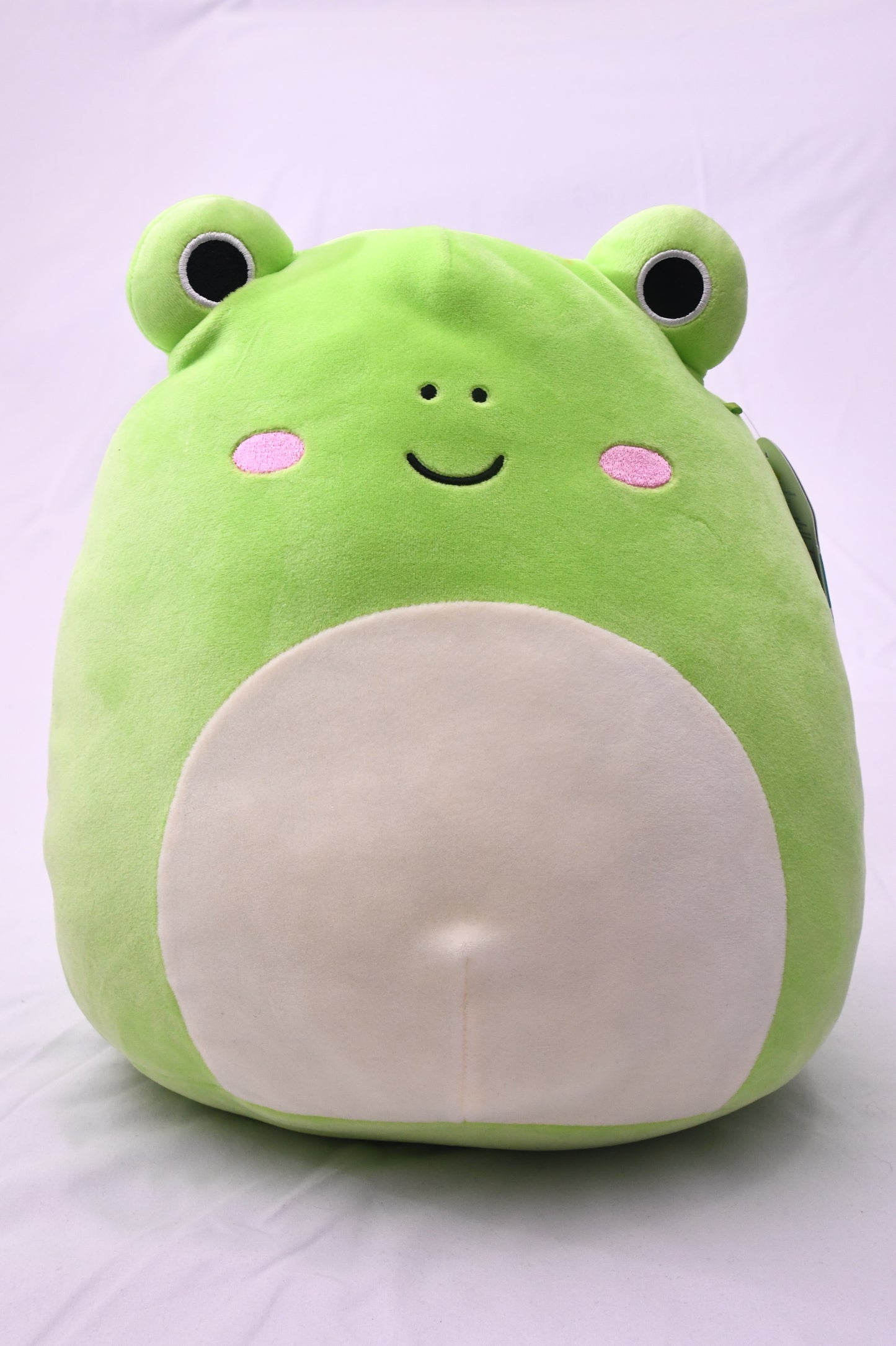 Squishmallows Wendy Frog Plush Kellytoy Green Stuffed Animal w/ Tag 2023