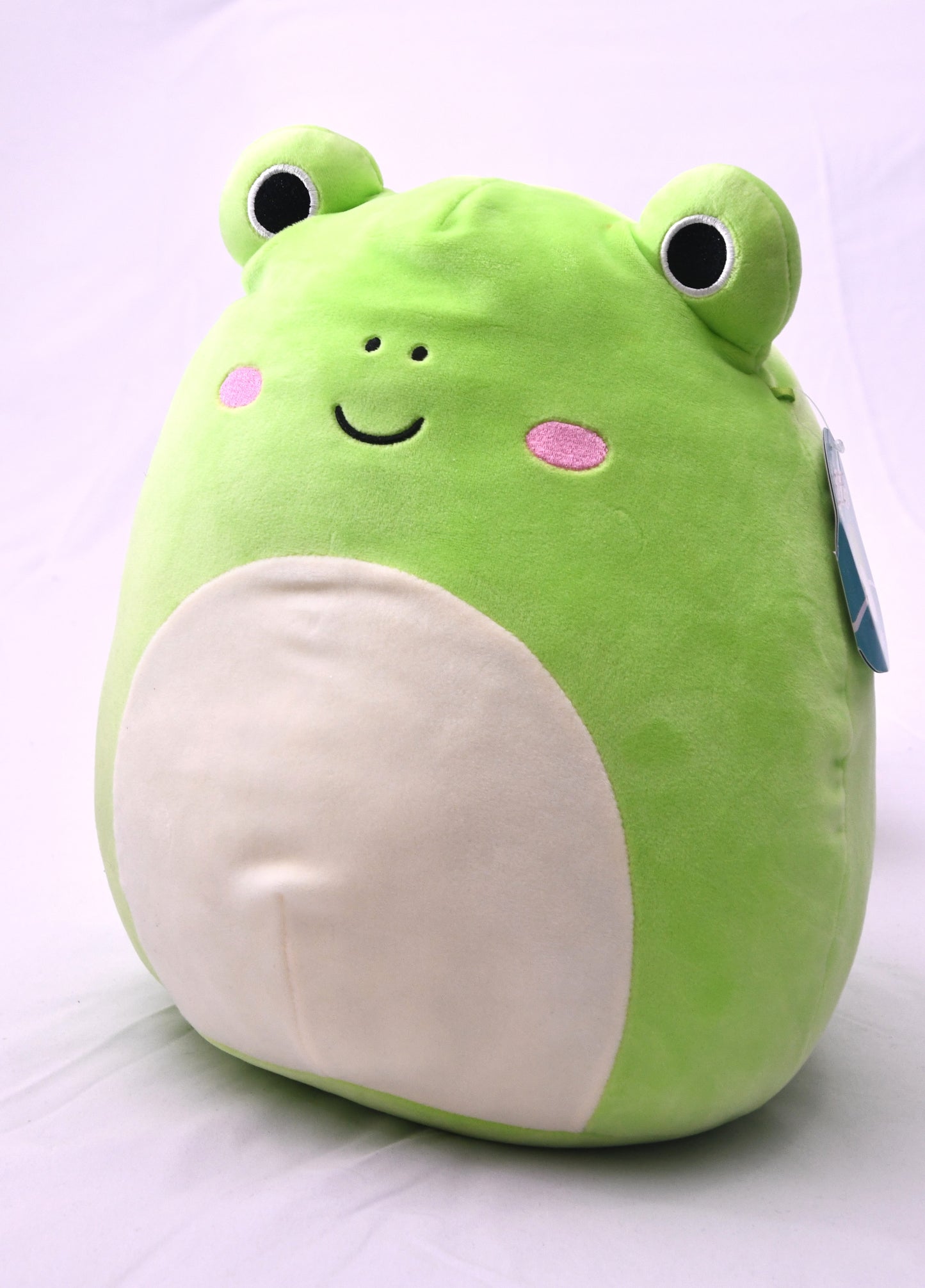 Squishmallows Wendy Frog Plush Kellytoy Green Stuffed Animal w/ Tag 2023