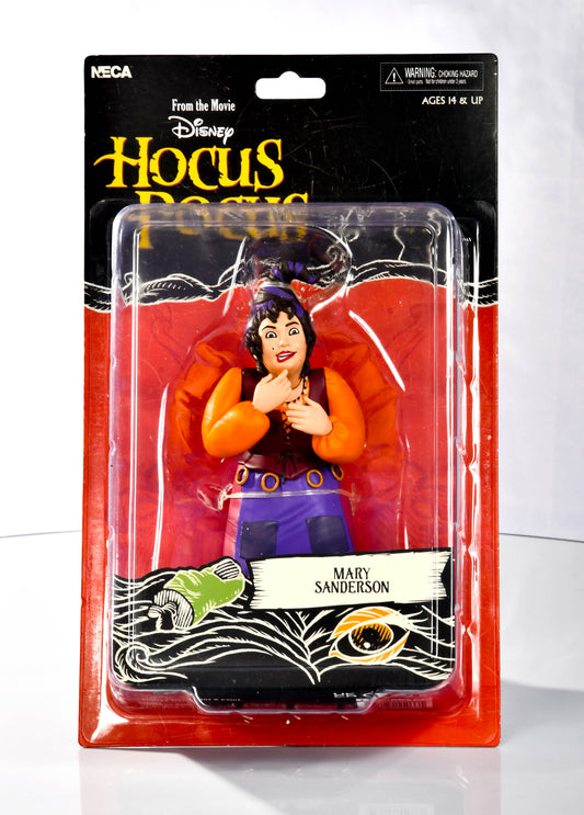 NECA Hocus Pocus Mary Sanderson Scale Action Figure – Toony Classics - 6"